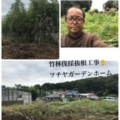木の伐採抜根工事　林/竹林伐採致します　所沢市さいたま市入間市〜 - 剪定/造園