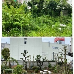 木の伐採抜根工事　林/竹林伐採致します　所沢市さいたま市入間市〜 - 所沢市