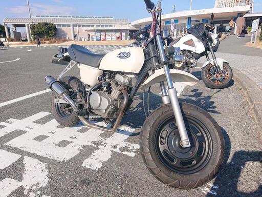 【3/21引き取り限定値引き＋マフラーも！】ホンダ エイプ50(エンジン80cc)