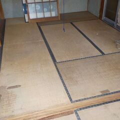リフォーム、リノベーション、DIYの好きな人を探しています