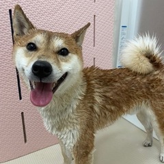 お友達募集 - 友達