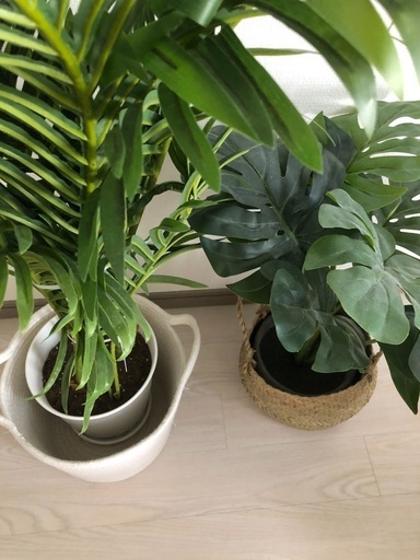 2個セット　フェイクグリーン　観葉植物