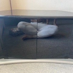 テレビ台