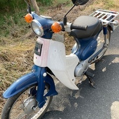 昭和のカブ　C50 好調の画像