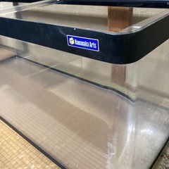 金魚（水槽ハマナカアーツ）譲ります