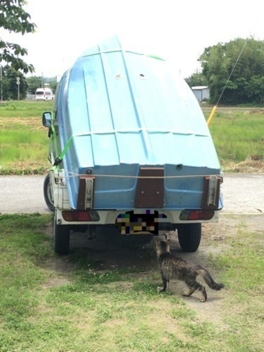 免許不要ケンマリーンタートル11ｆ