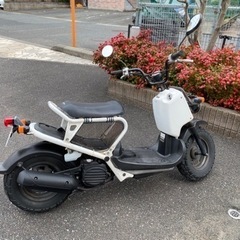 HONDA ズーマー　実動　50cc 原付の画像