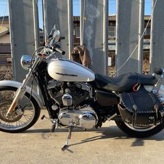 ハーレーダビットソン　XL1200C　スポーツスター
