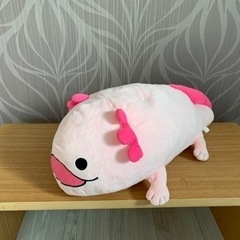 ぬいぐるみ　ウーパールーパー