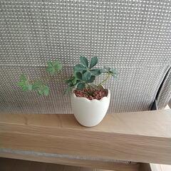 シュガーバイン造花