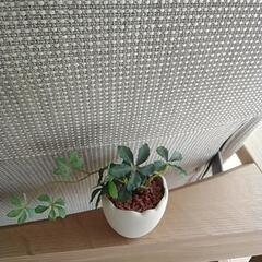 シュガーバイン造花の画像