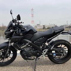 自賠責延長しました）MT-15 Yamaha 18.5馬力水冷4ストローク単