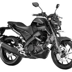 （自賠責延長しました）MT-15 Yamaha 18.5馬力　水...