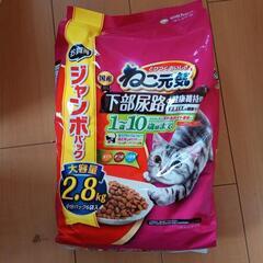 キャットフード 無料であげます。 【引取先決まりました。】
