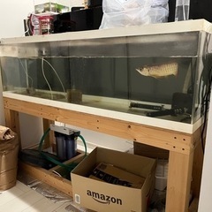 150センチ水槽一式