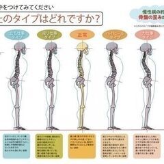 短期集中！！カイロプラクターセミナー３月生募集　急募の画像