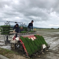 便利屋スタッフ　大募集の画像