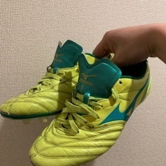 モナルシーダ26.5