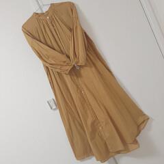 ﾛﾝｸﾞｼｬﾂﾜﾝﾋﾟの画像