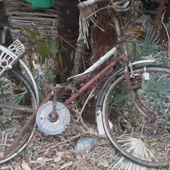 ♨🌅🌄🌅🌄🌈あらゆる廃墟に似合う自転車♨🌅🌄🌅🌄🌈の画像