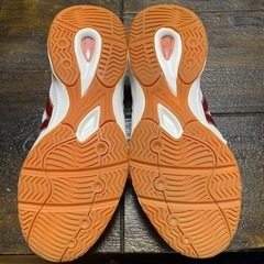 沖縄工業高校　体育館用　シューズの画像