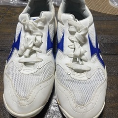 沖縄工業高校　体育館　シューズの画像