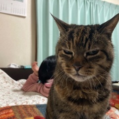 春なので何か新しいことをしたい！ − 千葉県