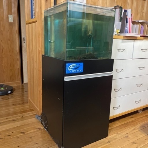 アクアリウム水槽