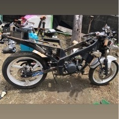 tzr50 3tu