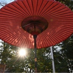 今週日曜日、一緒に写真撮りに行きませんか。