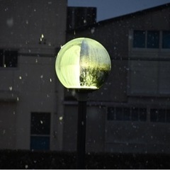 今週日曜日、一緒に写真撮りに行きませんか。 - 太田市