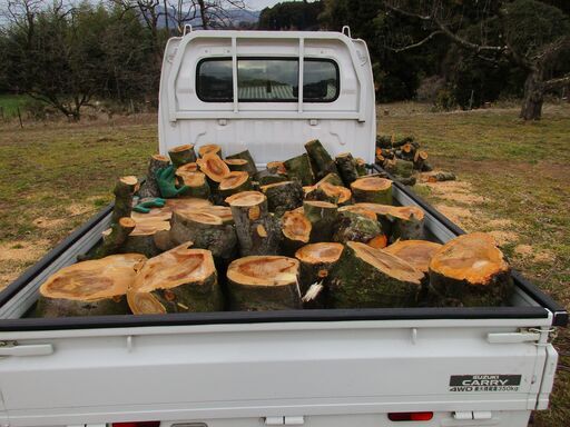 りんごの木　りんごの玉切り　りんごの薪　（保管場所茨城県桜川市）真岡市・益子町から15分～20分　③
