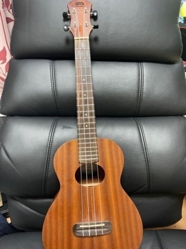 ウクレレ【aNueNe】