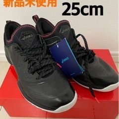新品未使用　asics GLIDE NOVA FF 25cm
