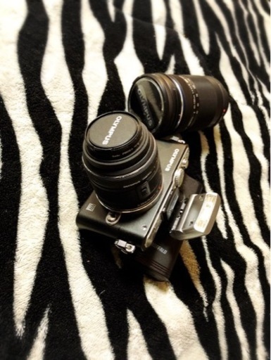 オリンパス1眼レフ＋水中用撮影ケース付き