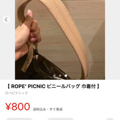 ロペピクニック ビニールバッグの画像