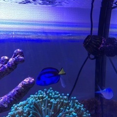 決まりました。