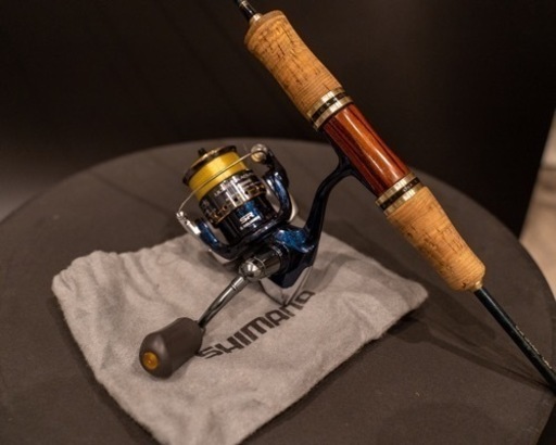 アルテグラ　カーディフ62sul