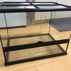 グラテラ6045セット