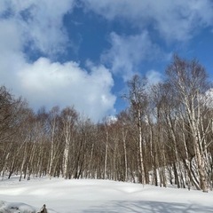 一緒にキャンプ場作りませんか？