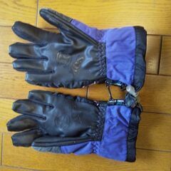 女性用 スキー🎿グローブ ゴーグル👩の画像