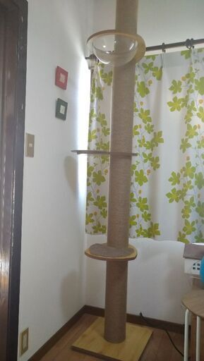 キャットタワー