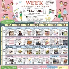 初心者さんのリフレッシュヨガの画像