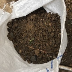 （現在取引中）土嚢袋入り残土　無料でどうぞ　＊③＊
