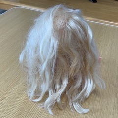 ラプンツェルお人形の画像