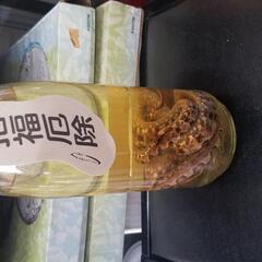 ハブ酒　の画像
