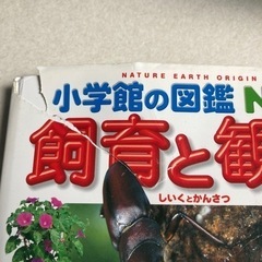 図鑑　ずかん　5冊　¥1500 小学館の図鑑NEO 学研の図鑑の画像