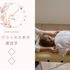 セラピストのための解剖学【解剖学を学んでみたい方にも！】