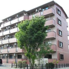 🍎Arterior Hills East 108号室🍎✨仲介手数...