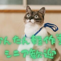 年収400万円以上可能✨照明機器の製造/ボタンをポチポチ簡単業務/工場内作業[契約社員]の画像